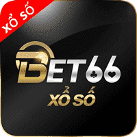 chess and ludo game flipkart online india